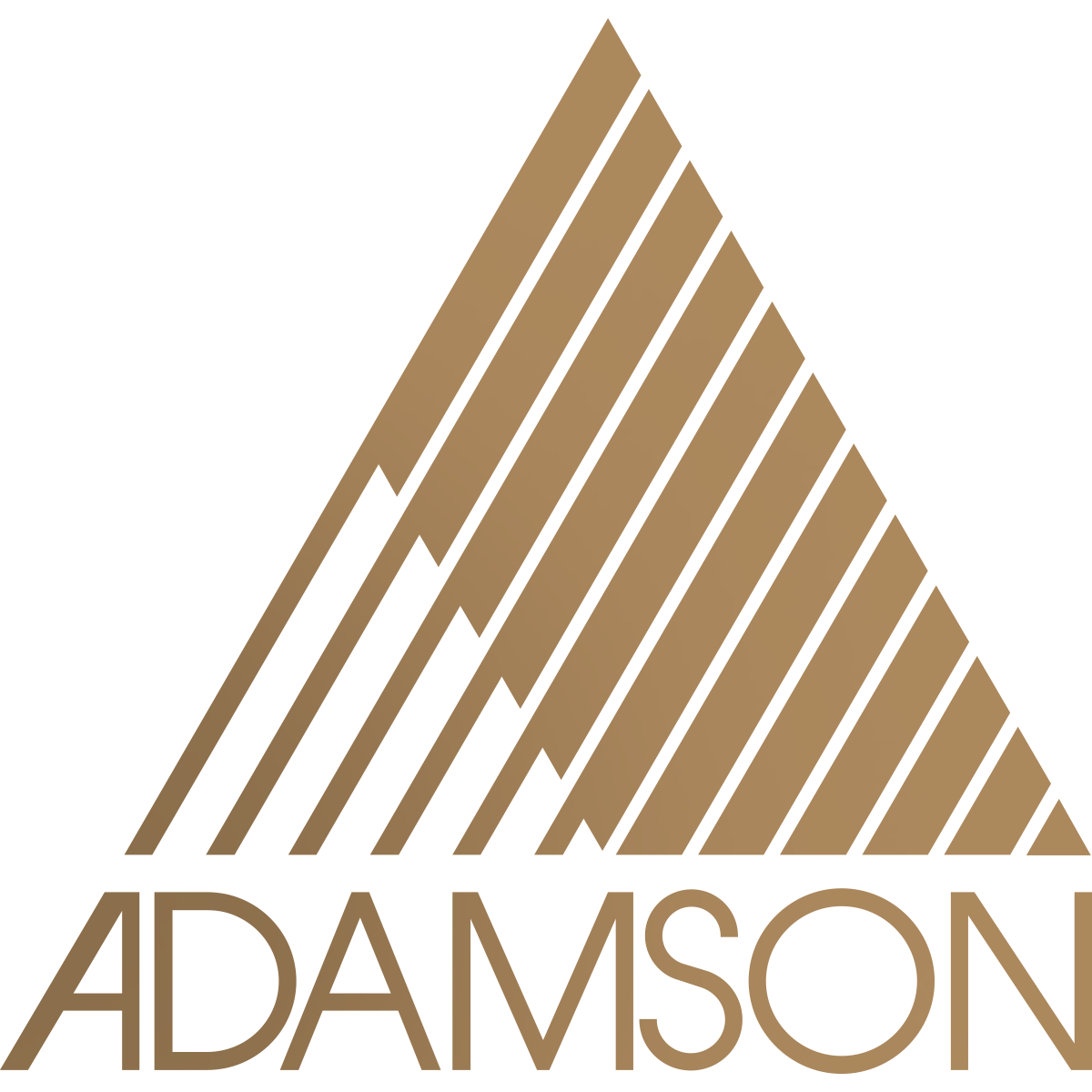 Adamson Logo and Link to Website
